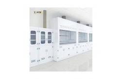 China Integrated Structure PP Fume Hood For Lab Low Noise Chemical Resistant supplier