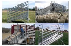 China 3.2M Hot Dipped Galvanized Cattle Fencing Loading Ramp Adjustable Livestock Fencing Panels supplier