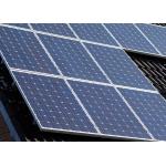 Residential Yingli Solar Panels 4BB Cells MC4 Compatible With Connector for sale