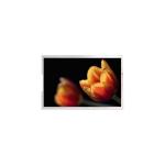 LS019B3SX01 Original 1.9 Inch LCD Display 240*320 LCD Panel For Handheld PDA for sale