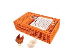 China Farming PP Poultry Carrier Crate Chicken Transport supplier