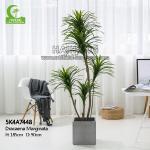 Aesthetic 185cm Artificial Potted Floor Plants For Indoor Decoration for sale