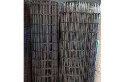 China Concrete Masonry Metal Reinforcing Mesh Building Materials Hot - Dipped Galvanized supplier