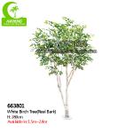 Durable No Nursing Artificial Landscape Trees , Artificial Indoor Birch Tree 280cm for sale