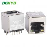 180 Degree Straight Plug RJ45 Connector Without Filter Vertical Interface RJ45 Socket DGKYD52241188AB1A3DY1027 for sale