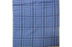 China Blue Grid Cotton Check Fabric 54 Width 40X40 Yarn Dyed Plaid Fabric supplier