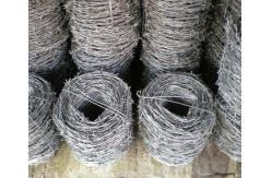 China 12x14BWG Galvanized Steel Double Strand Barbed Wire Rope  non rusting supplier