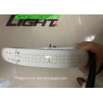 2230lum/m Silicone Led Strip Light Double Row DC36V/AC110V/220V SMD5050 30W/M White Color for sale