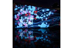 China Building Mapping Huge Hologram 3d Holographic System Projection Dynamic Outdoor supplier