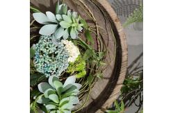 China Artificial Wall Hanging Plants Vertical Greening Creative Decoration Retro Pendant supplier