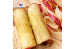 China Unit Canteens Mechanical Operate Fruit And Vegetable Peeler Machine Apple supplier