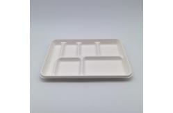 China 6 Compartment Disposable Plates Biodegradable Divided Rectangle Tray supplier