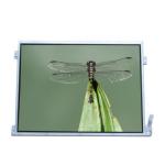 LTM10C320S 10.4 inch 1024*768 TFT LCD Screen Display for sale