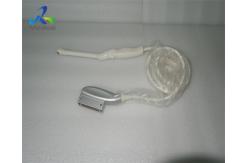 China GE E8CS-RC Ultrasound Phased Array Probe Medical Ultrasound Machine supplier