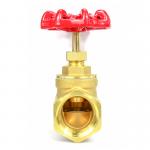 Durable Brass Globe Control Valve  Manual Gate Valve