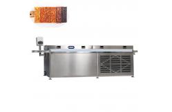 China P307 Automatic date paste fruit bar making machine supplier