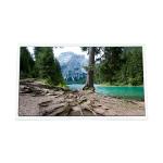 42.0 inch 1920*480 P420IVN03.2 LCD screen for Outdoor High Brightness for sale