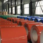 Ral 9012 Jsw Ppgi Coils galvanized for rooﬁng and wall cladding