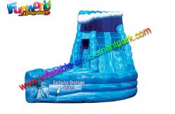 China Special Monster Outdoor Inflatable Water Slides With Landing / Inflatable Air Sliding supplier