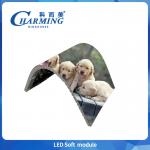Flexible Module P2-P3.076 Indoor Led Soft Module 16 Bit High Gray Scale Full Color For Shopping Mall for sale