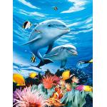 BSCI Lenticular 3D Pictures For Hotel Decoration / 3D Animals Photos for sale