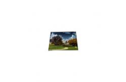 China 720*1280 HSD055BHW3-Q00 5.5 inch LCD Screen Panel Display supplier