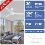 3 Blades 3 Speed Reversible Remote Control Modern Ceiling Fan For Bedroom