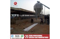 China Eggs Layer Chicken Cage Cold And Hot Galvanized Feeding System supplier