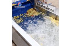 China Large-scale fruit and vegetable washing,drying and cutting production line supplier