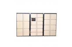 China Intelligent Smart Electronic Laundry Room Lockers Dry Cleaning Locker With Currency Payment System supplier