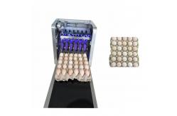 China Egg Inkjet Batch Coding Machine ,  High Efficient Batch Code Printing Machine supplier