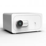 Stain Resistant Fingerprint Lock Small Security Safe Box