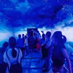 AR Cinema Immersive Experience Hanging Glass Immersive Cinema for sale