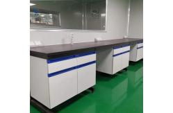 China ISO Lab Island Bench 85cm Chemical Resistant Wall Mounted Workstation supplier