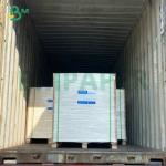 Strong Rigidity High Pulp SBS Board 14PT 16PT 18PT For Medicine Packaging Boxes for sale
