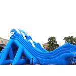 Crazy Blue Inflatable Dragon Theme Dry And Wet Slide With PVC Material