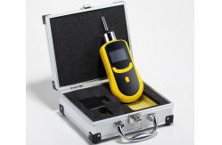China Carbon Dioxide CO2 Gas Detector with Pump supplier