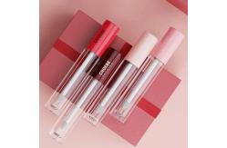 China Empty Cosmetic Containers Lipgloss Tubes for Mascara and Lip Gloss supplier