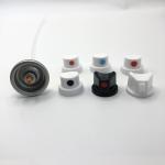 Efficient 25.4mm Paint Spraying Valve for Industrial Applications