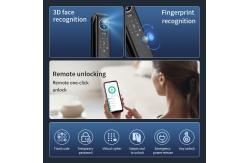 China Smart Lock With Face ID Camera Cerradura Biometric Fingerprint Tuya WiFi Video Calling supplier