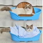 Xl Plastic Dog Bed Kennel For Pet Sleep and Wash Dual Use for sale