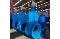 China General Standard Cast Iron Gate Valve for Customized Service Needs supplier