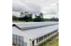 China Lightweight Steel Frame House , Chicken Farm Structure Customized supplier