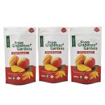 Custom Printed Biodegradable Food Grade Mylar Bags 3.5g Smell Proof Kraft Paper Bags for Dried Fruit for sale