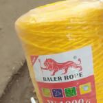 Yellow Color 2mm Pp Baler Twine 1000g 2000g For Agriculture Packing for sale