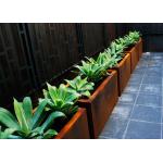 Customized Square Metal Planters Outdoor Corten A Material 50cm Height for sale