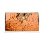 Origing RV201U0M-N90 20.1 inch TFT LCD Panel 1600*1200 lcd display for sale