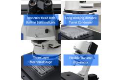 China OPTO EDU A14.1097 SW10x Inverted Biological Microscope SW10x/22mm supplier