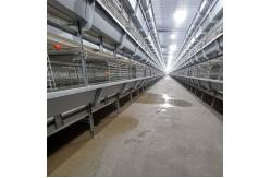 China Livestock Automatic Chicken Feeder System 0.75kw Chicken Feed For Laying Hens supplier