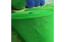 China Green Plastic Mosquito Screen Net For Agriculture Greenhouse supplier